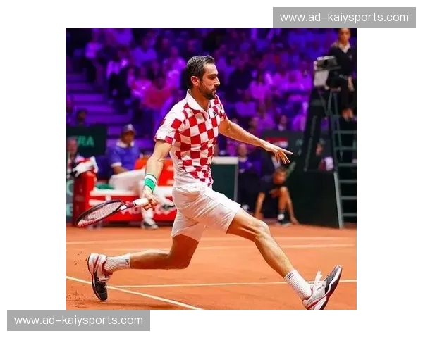 戴维斯杯伤病：赛场荣耀背后的隐形敌人